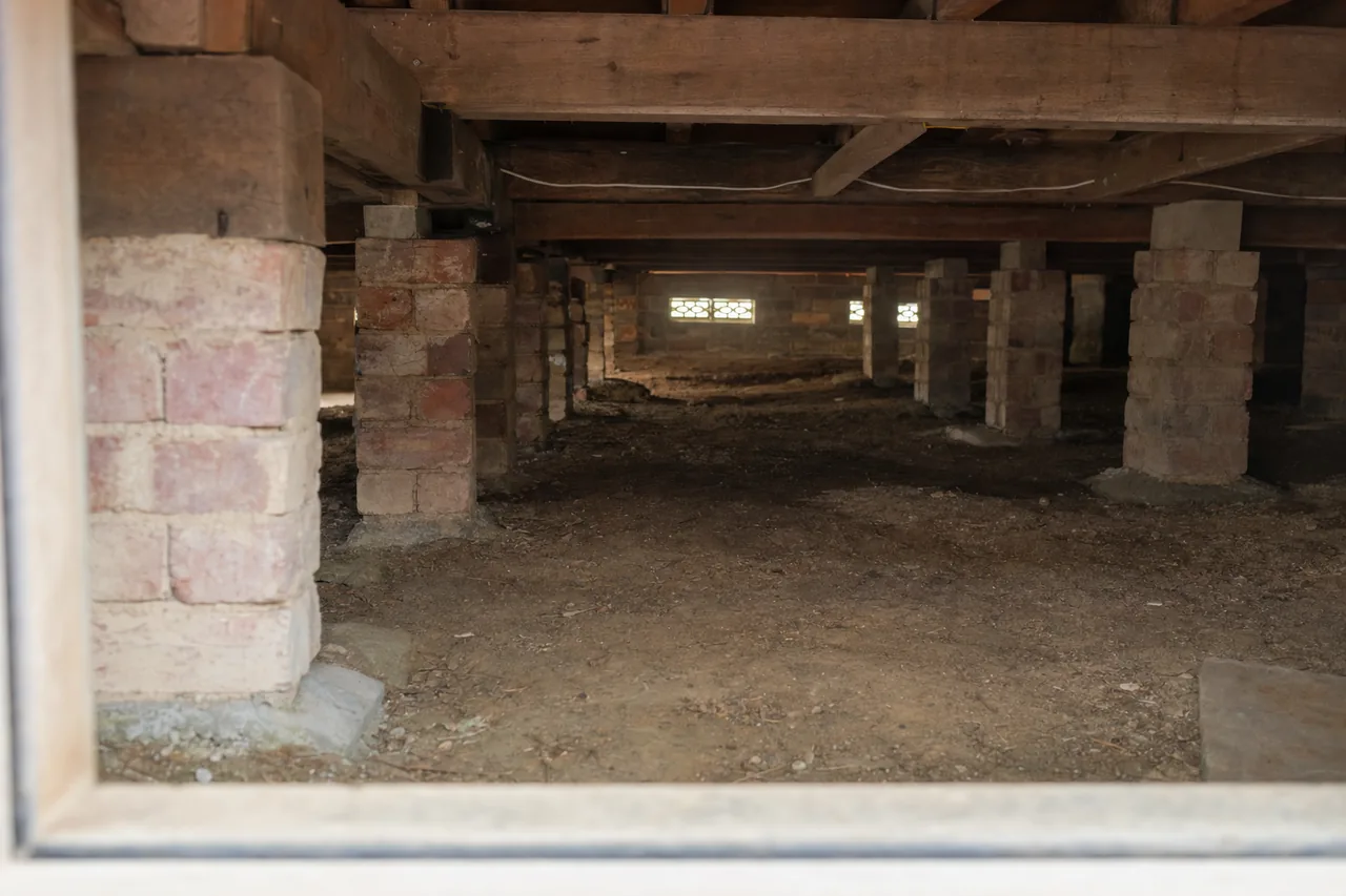 The space under a raised timber floor with rows of brick piers, bearers and joists in soft light from the wall vents — subfloor ventilation, Albury-Wodonga. Illustrative example.